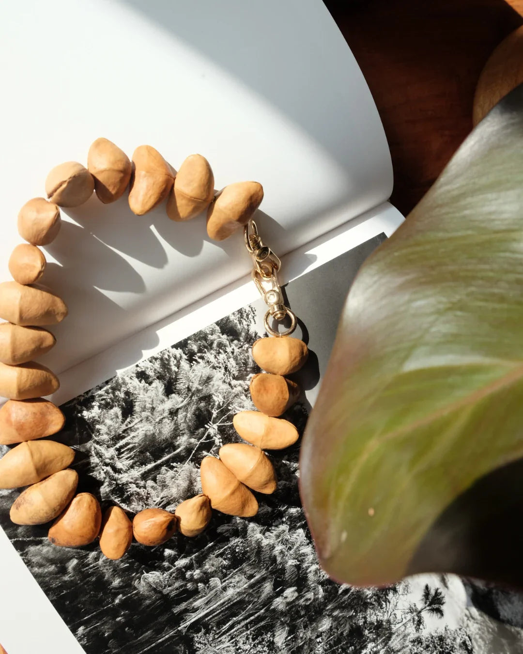 Collar Agnes | Moca
